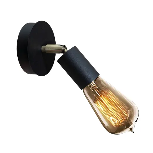 Светильник в стиле лофт с поворотным механизмом MSK Electric Asket NL 1222