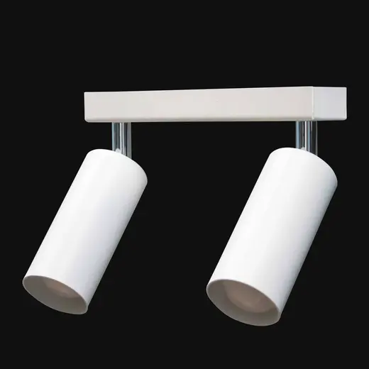 Светильник в стиле лофт MSK Electric Tube спот с поворотным механизмом NL 1105-2 W
