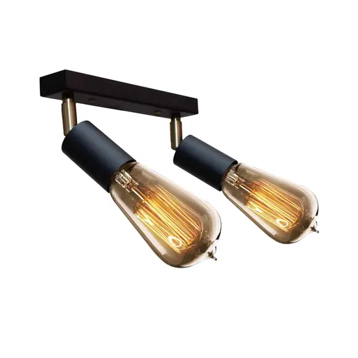 Светильник в стиле лофт с поворотным механизмом MSK Electric Asket NL 1222-2