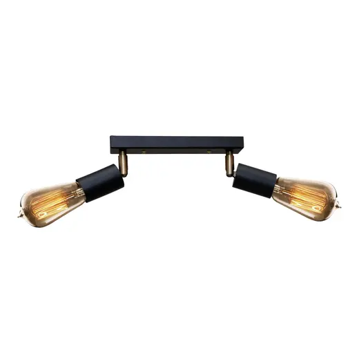 Светильник в стиле лофт с поворотным механизмом MSK Electric Asket NL 1222-2