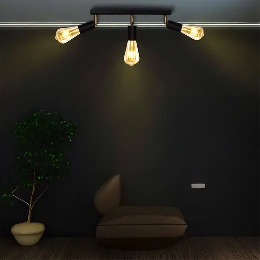 Светильник в стиле лофт с поворотным механизмом MSK Electric Asket NL 1222-3