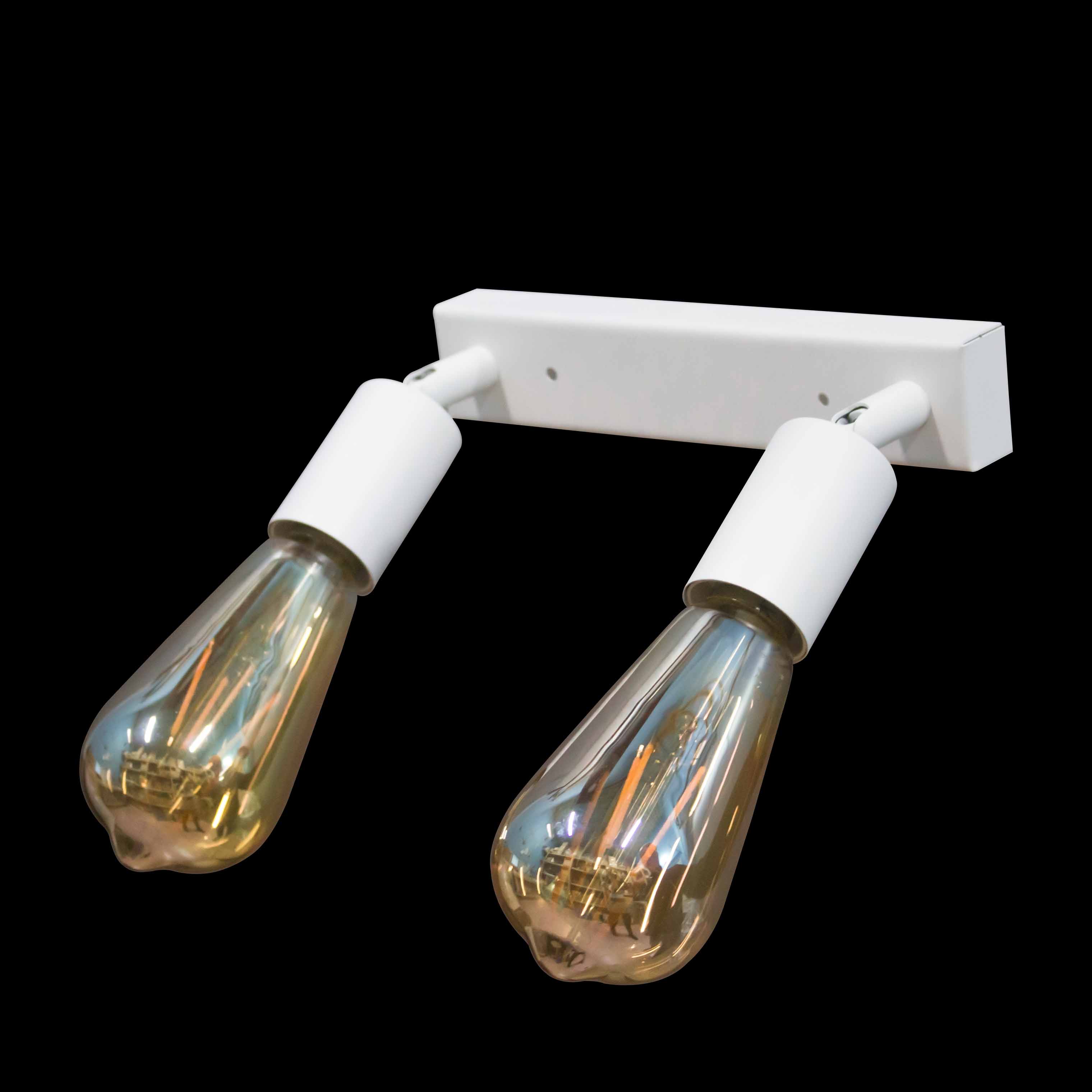 Светильник в стиле лофт с поворотным механизмом MSK Electric Asket NL 1222-2 W