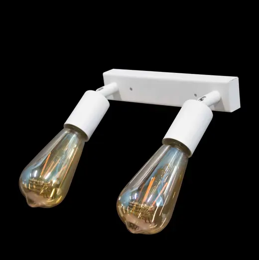 Светильник в стиле лофт с поворотным механизмом MSK Electric Asket NL 1222-2 W