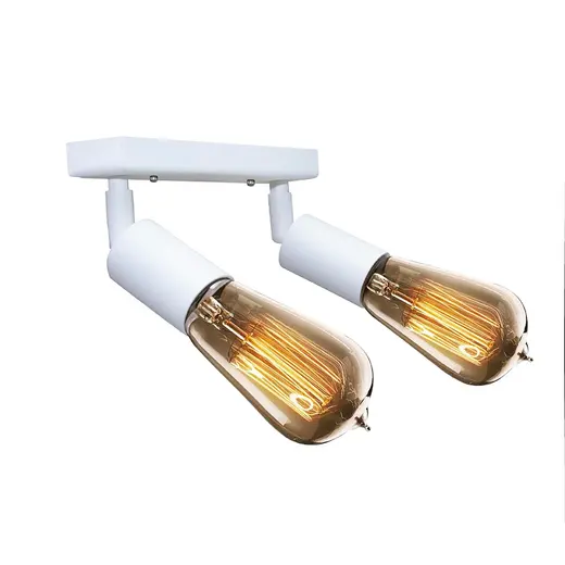 Светильник в стиле лофт с поворотным механизмом MSK Electric Asket NL 1222-2 W