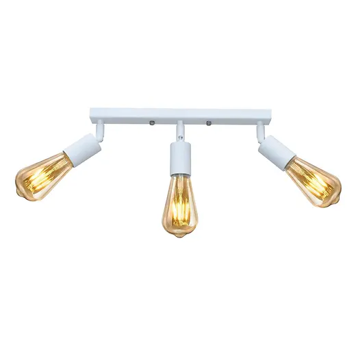 Светильник в стиле лофт с поворотным механизмом MSK Electric Asket NL 1222-3 W