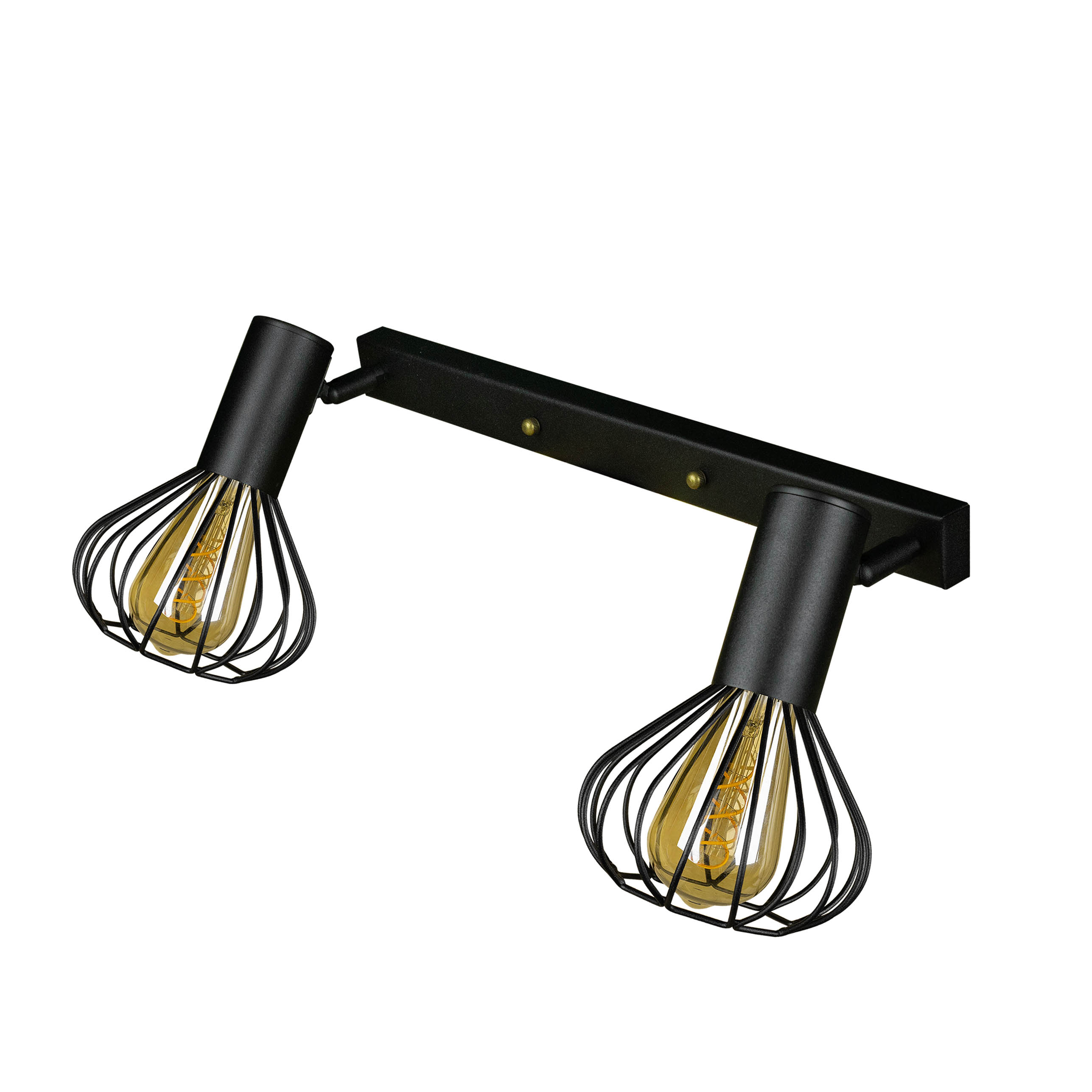 Светильник лофт настенно-потолочный MSK Electric Lotus NL 14151-2