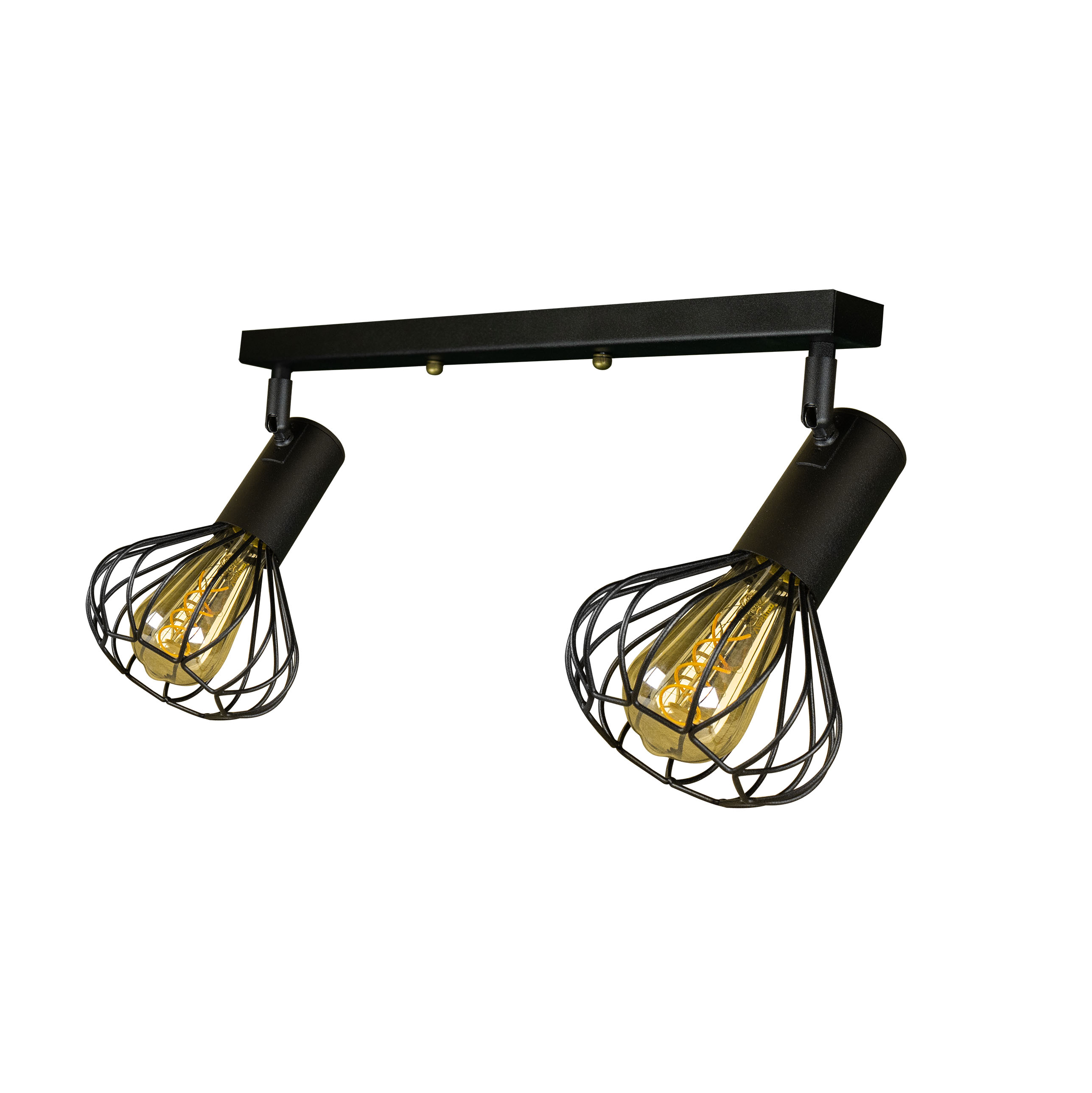 Светильник лофт настенно-потолочный MSK Electric Lotus NL 14151-2