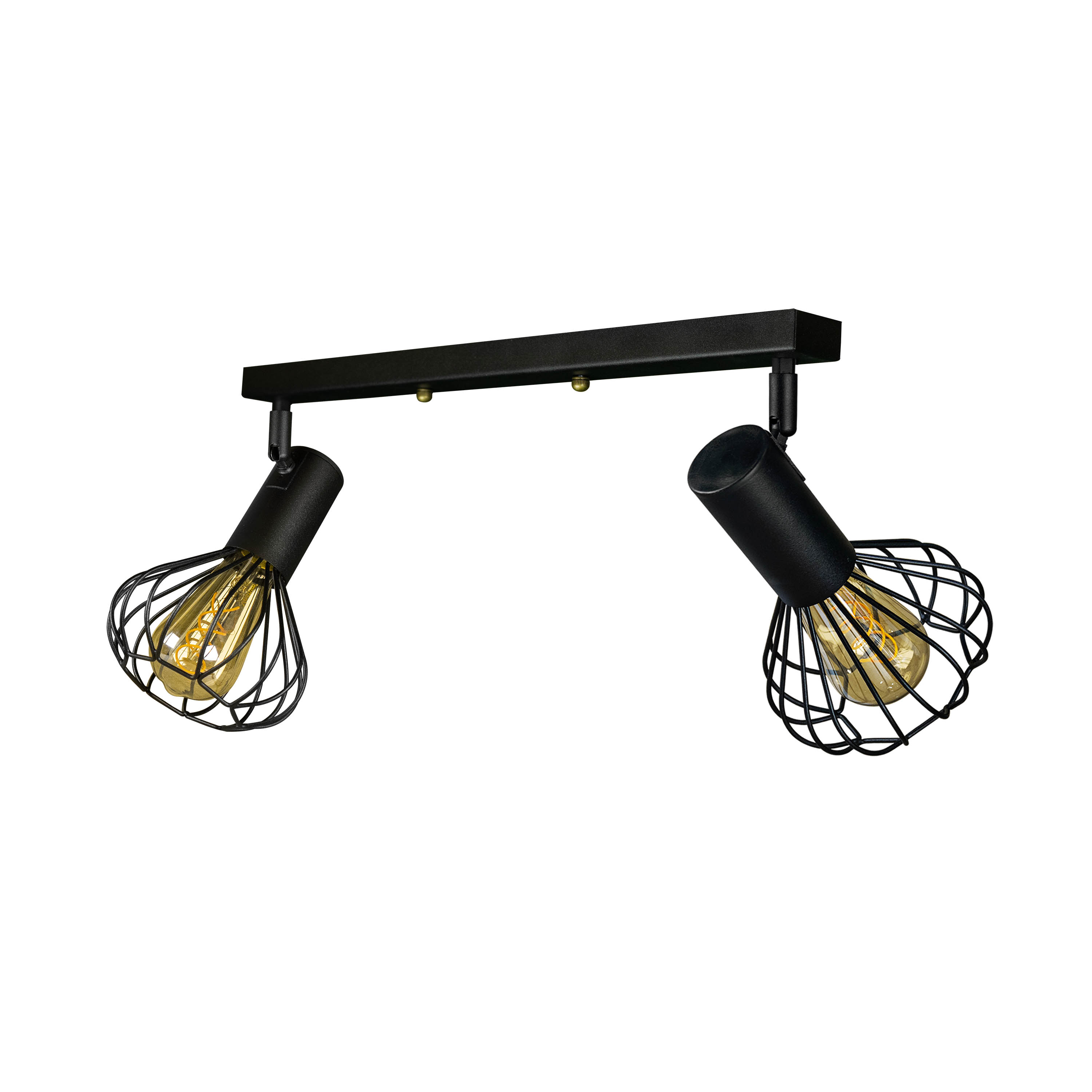 Светильник лофт настенно-потолочный MSK Electric Lotus NL 14151-2