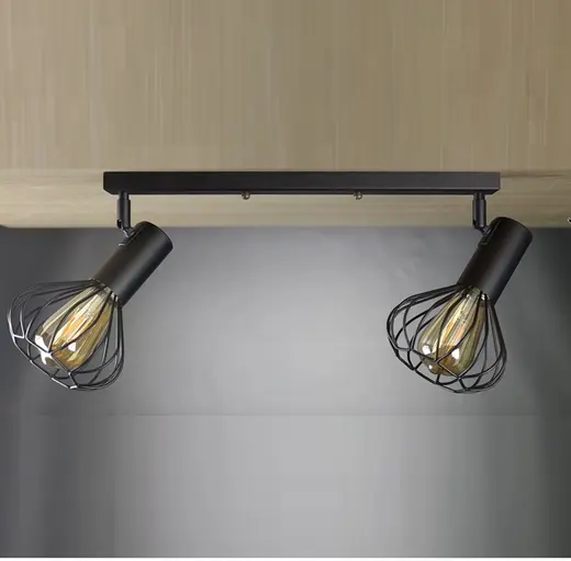 Светильник лофт настенно-потолочный MSK Electric Lotus NL 14151-2