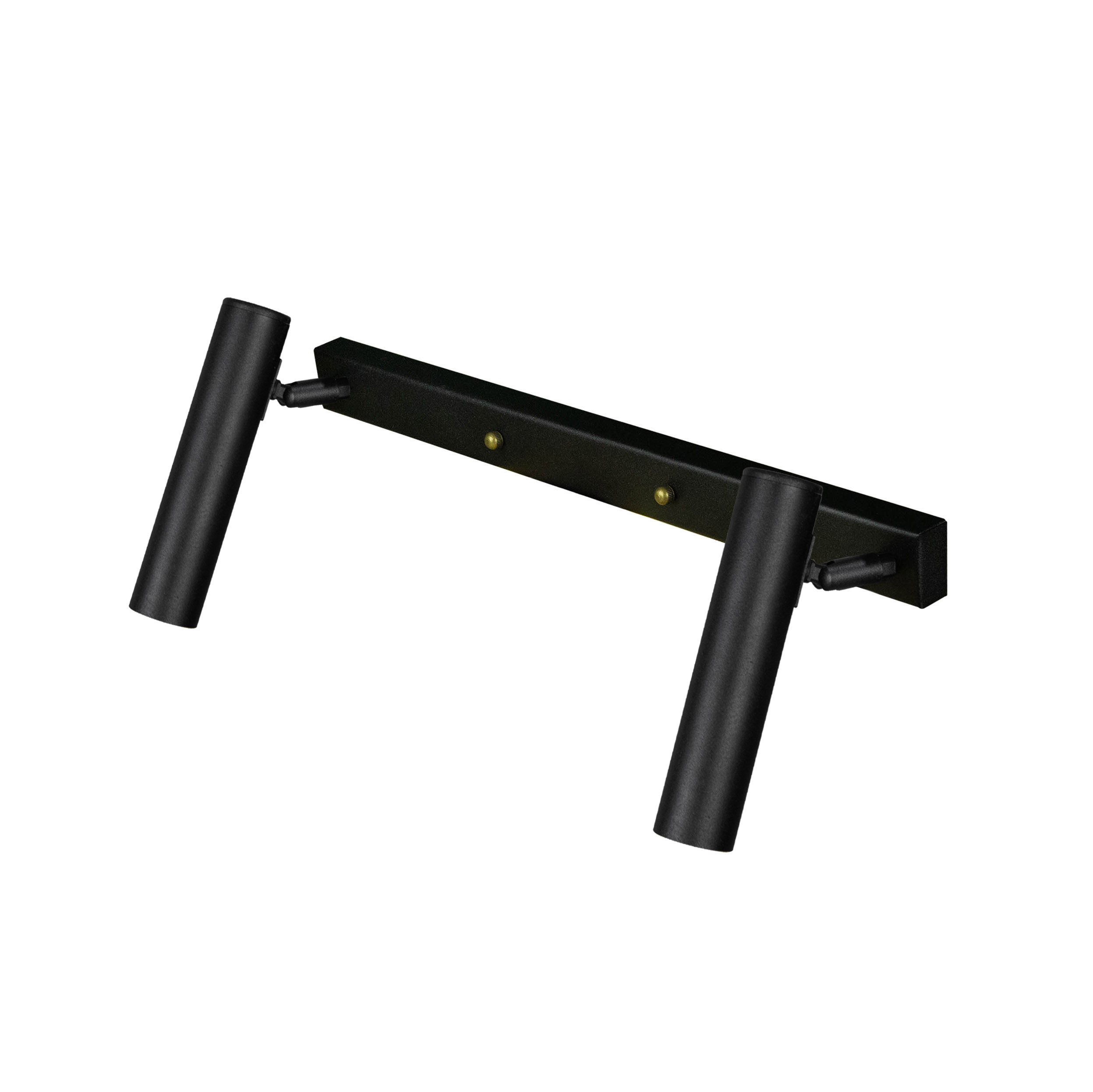 Светильник лофт MSK Electric Elegant с поворотными плафонами спот NL 1840-2