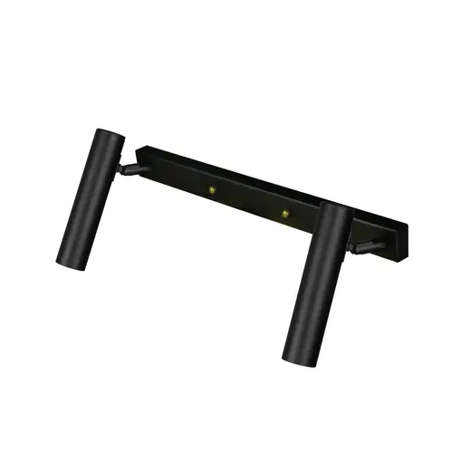 Светильник лофт MSK Electric Elegant с поворотными плафонами спот NL 1840-2