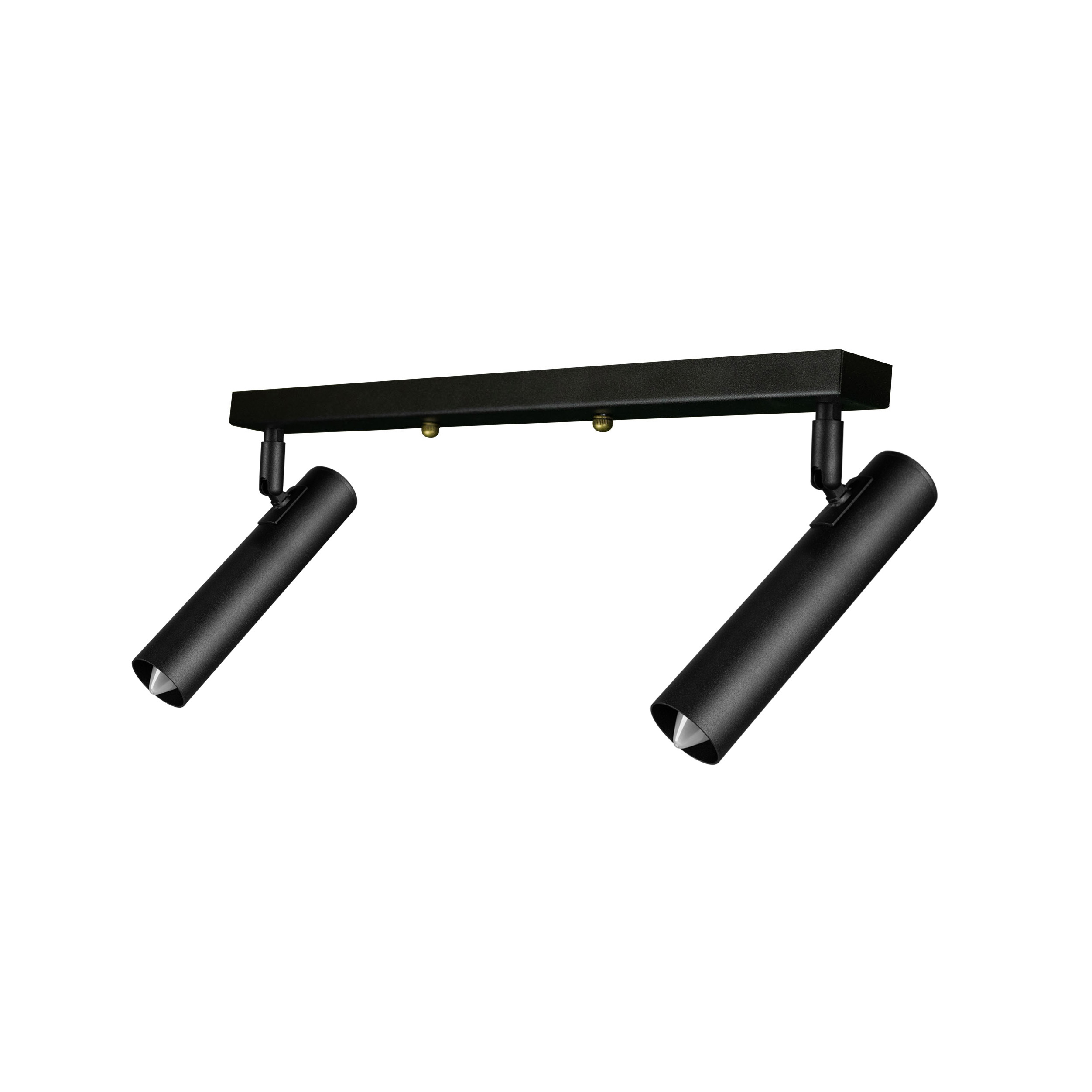 Светильник лофт MSK Electric Elegant с поворотными плафонами спот NL 1840-2