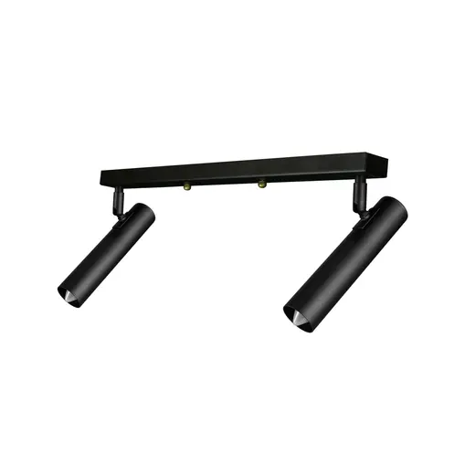 Светильник лофт MSK Electric Elegant с поворотными плафонами спот NL 1840-2