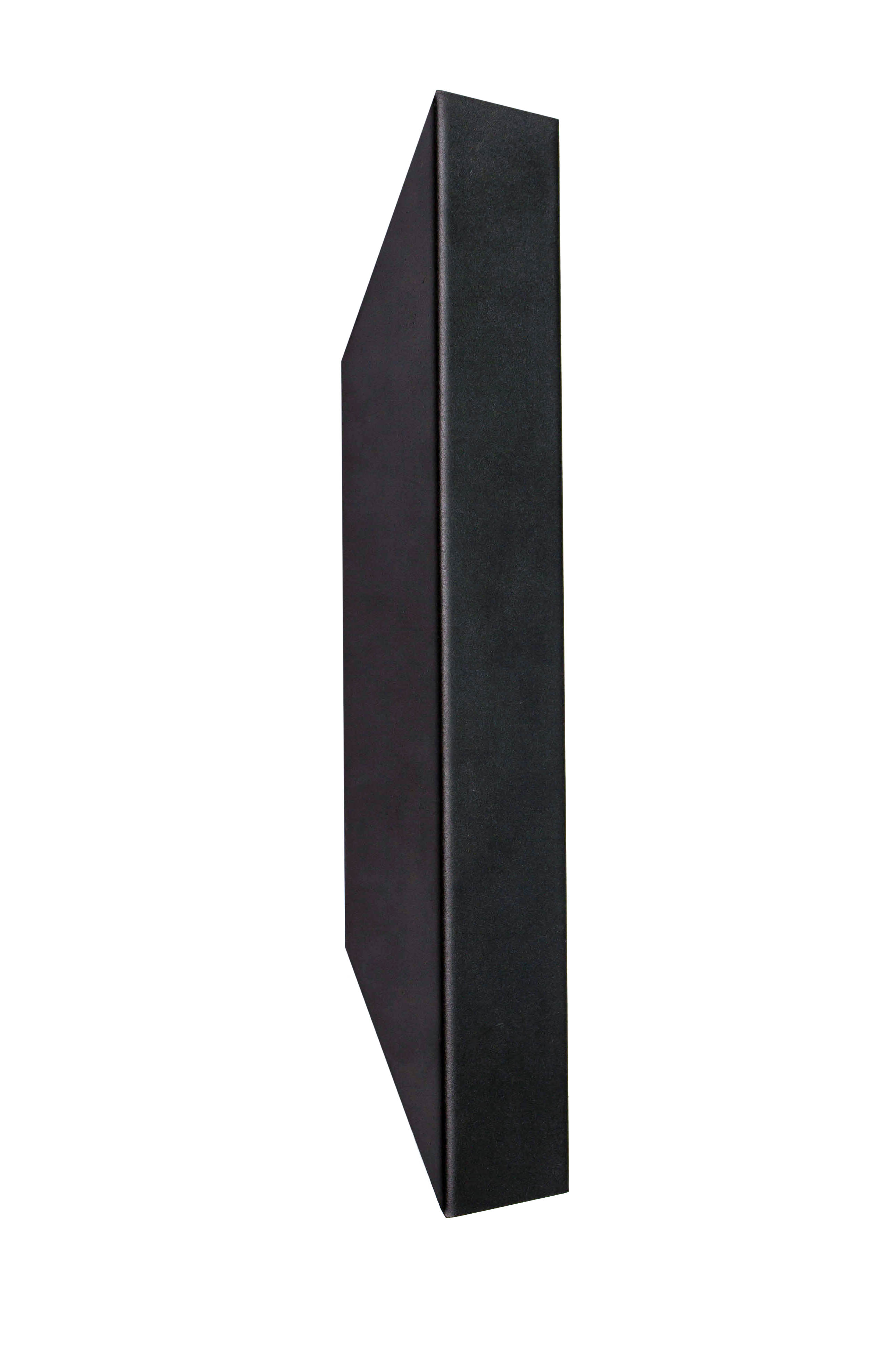 Светильник настенный MSK Electric Vega бра под две лампы NL 24101-1 BK черный