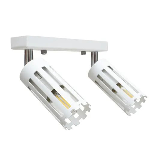 Светильник потолочный MSK Electric Teramo спот поворотный на два плафона белый NL 18050-2 WH