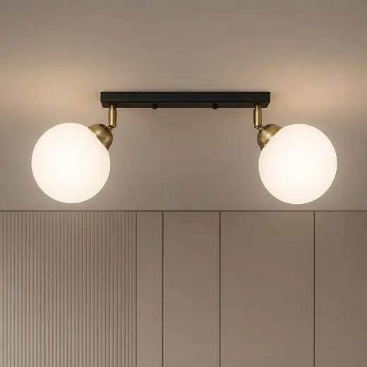 Светильник потолочный MSK Electric Luna на два поворотных плафона шара под лампы E27 PL 20261-2 BK
