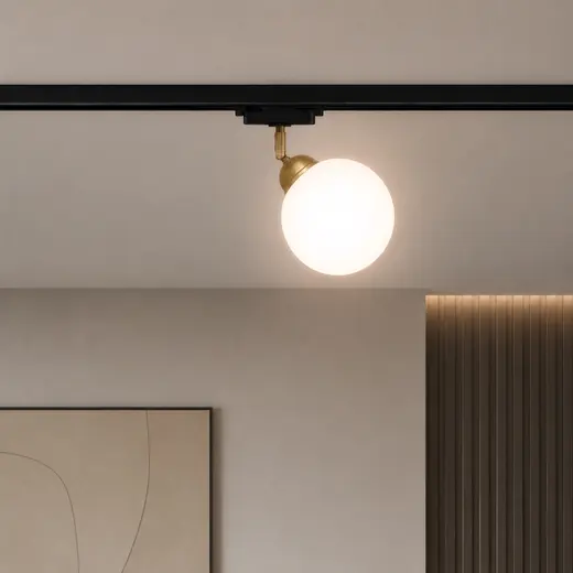 Светильник трековый поворотный MSK Electric Luna с плафоном в виде шара под лампу Е27 NT 20261-1 BK